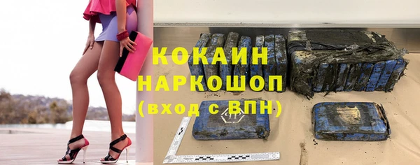 молекула духа Бородино
