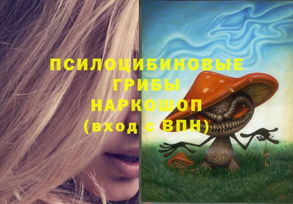 соль ск Бугульма