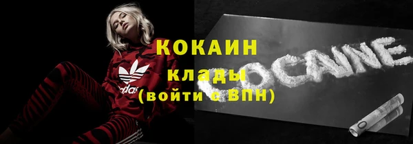 молекула духа Бородино