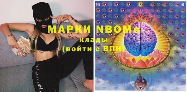 молекула духа Бородино