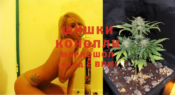 тгк Бронницы