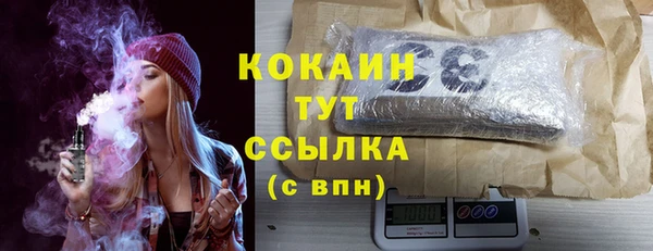 молекула духа Бородино