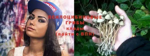 тгк Бронницы